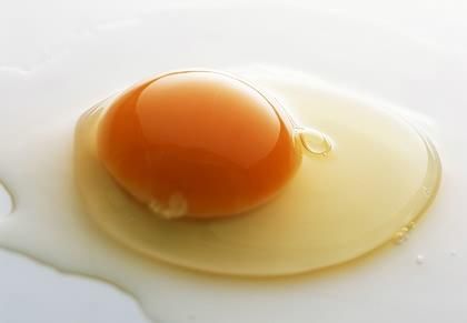 生吃需谨慎 生吃鱼片鸡蛋健康吗